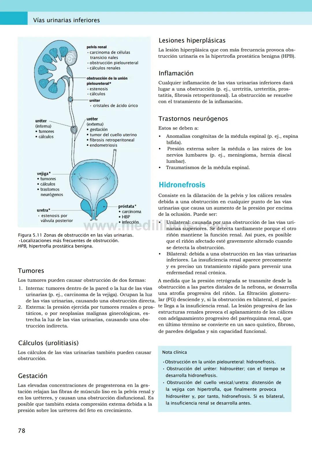 CIENCIAS BÁSICAS
4ª edición
CURSOS CRASH
Editor de la colección Dan Horton-Szar
Asesor académico: Kevin Harris
Lo esencial en
Sistema renal
