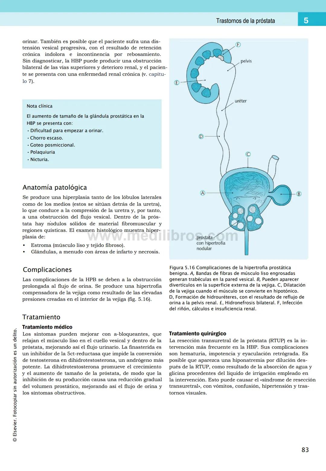 CIENCIAS BÁSICAS
4ª edición
CURSOS CRASH
Editor de la colección Dan Horton-Szar
Asesor académico: Kevin Harris
Lo esencial en
Sistema renal