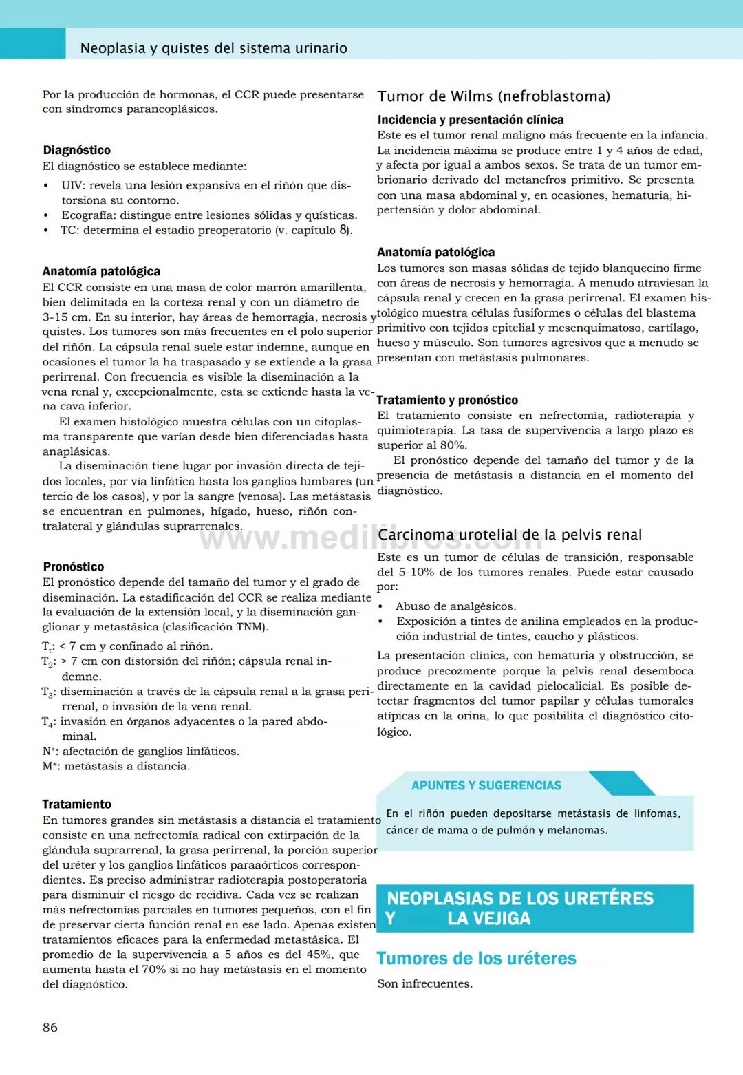 CIENCIAS BÁSICAS
4ª edición
CURSOS CRASH
Editor de la colección Dan Horton-Szar
Asesor académico: Kevin Harris
Lo esencial en
Sistema renal