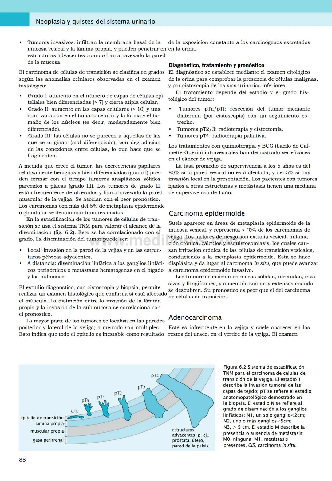 CIENCIAS BÁSICAS
4ª edición
CURSOS CRASH
Editor de la colección Dan Horton-Szar
Asesor académico: Kevin Harris
Lo esencial en
Sistema renal