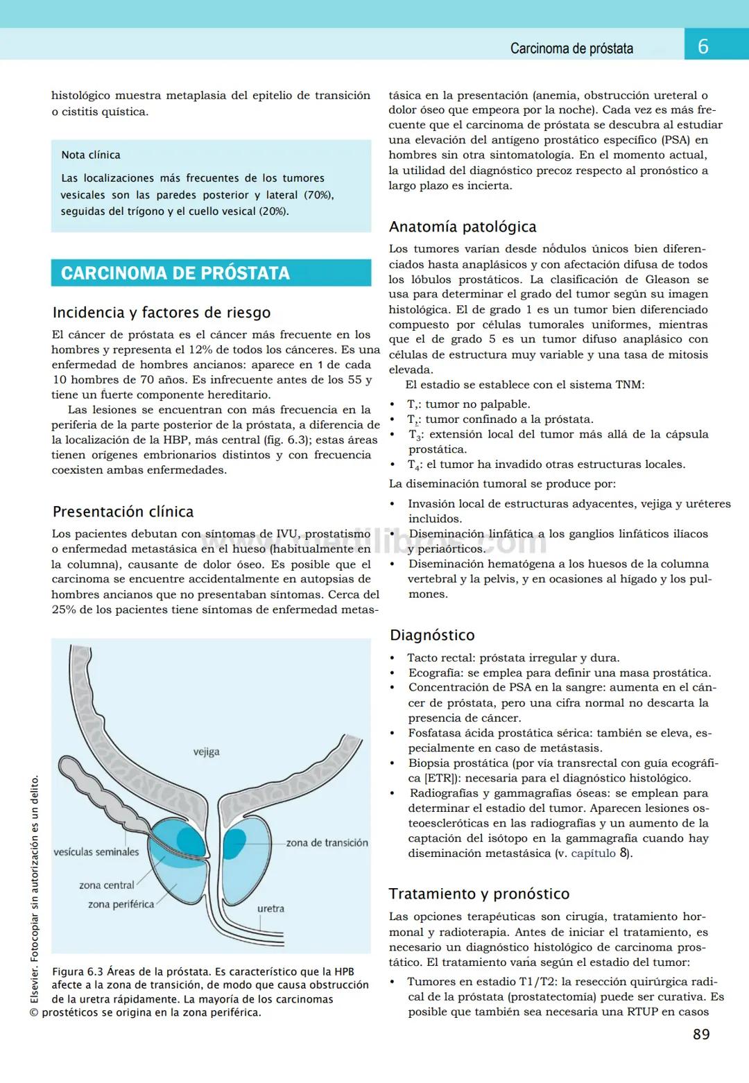 CIENCIAS BÁSICAS
4ª edición
CURSOS CRASH
Editor de la colección Dan Horton-Szar
Asesor académico: Kevin Harris
Lo esencial en
Sistema renal