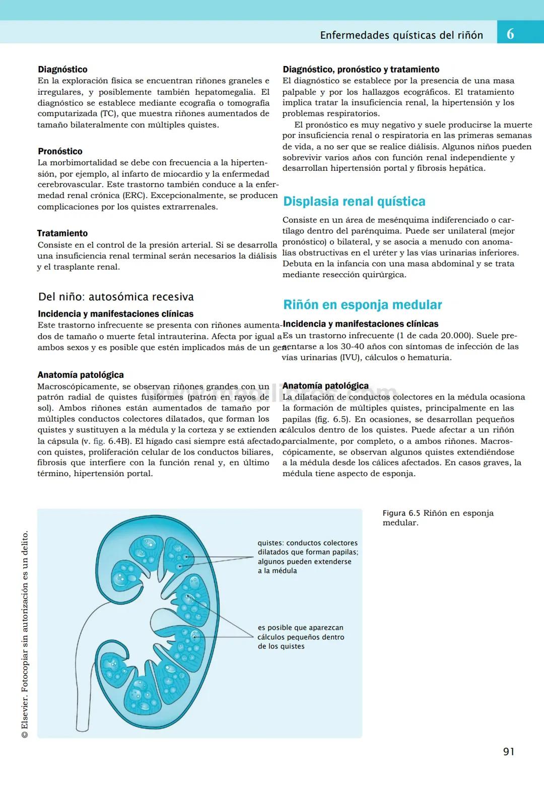 CIENCIAS BÁSICAS
4ª edición
CURSOS CRASH
Editor de la colección Dan Horton-Szar
Asesor académico: Kevin Harris
Lo esencial en
Sistema renal
