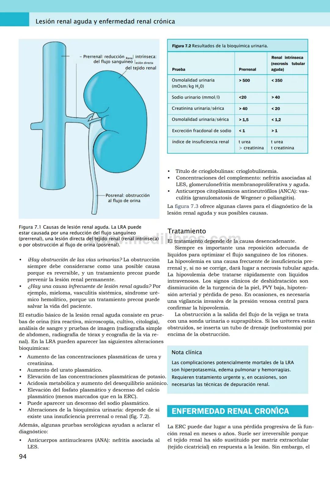 CIENCIAS BÁSICAS
4ª edición
CURSOS CRASH
Editor de la colección Dan Horton-Szar
Asesor académico: Kevin Harris
Lo esencial en
Sistema renal