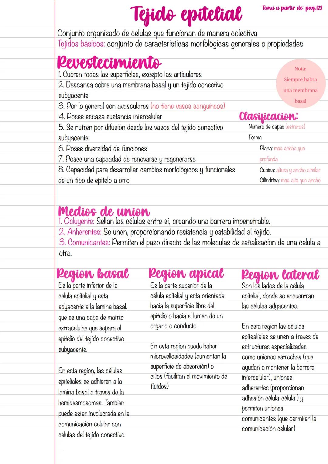 --- OCR Start ---
Tejido epitelial
Tema a partir de: pag. 122
Conjunto organizado de celulas que funcionan de manera colectiva
Tejidos básic