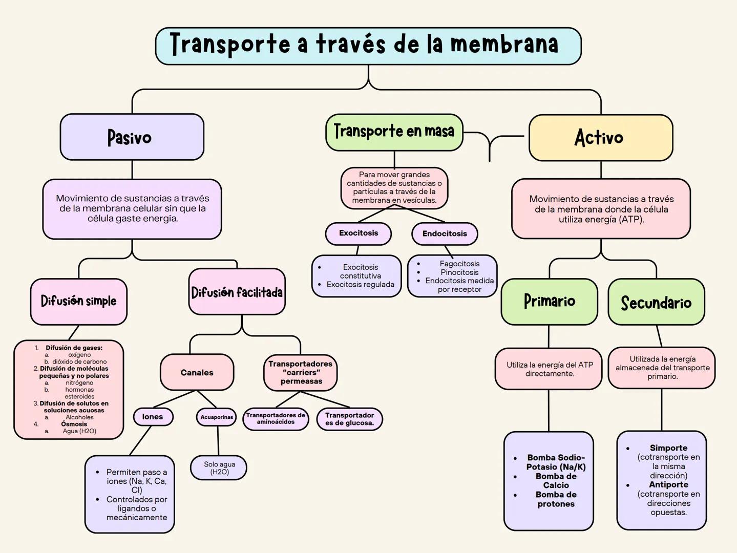 --- OCR Start ---
Pasivo
Transporte a través de la membrana
Movimiento de sustancias a través
de la membrana celular sin que la
célula gaste