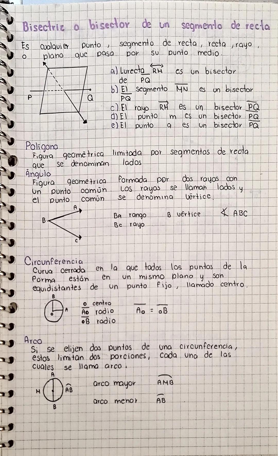 # TEMARIO
GEOMETRÍA PLANA
1.- Introducción a la geometría
Elementos básicos de la geometría
Relación entre puntos, rectas y planos
Ángulos
