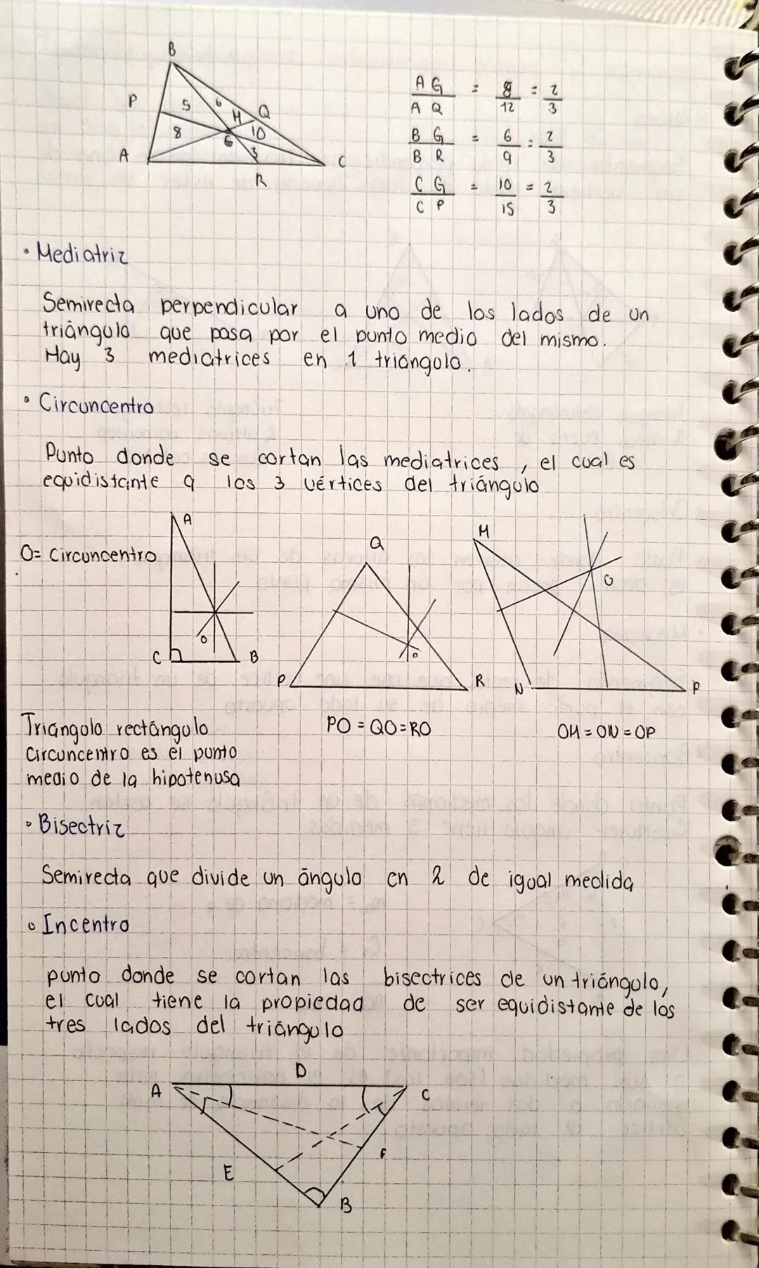 Clasificación de los ángulos de acuerdo a sus medidas
• Ángulo agudo
mide más de 0° pero menos de 90°
A
• Ángulo recto
mide 90°
A
B
C
∠B =