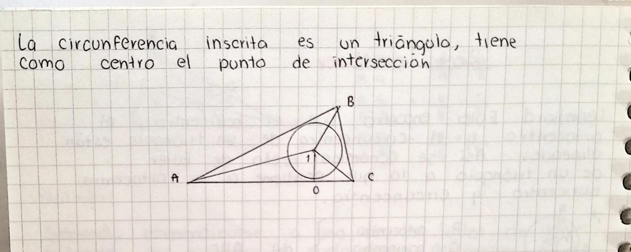Clasificación de los ángulos de acuerdo a sus medidas
• Ángulo agudo
mide más de 0° pero menos de 90°
A
• Ángulo recto
mide 90°
A
B
C
∠B =