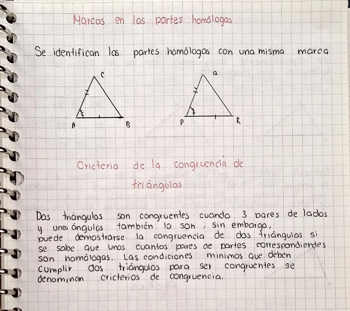 Clasificación de los ángulos de acuerdo a sus medidas
• Ángulo agudo
mide más de 0° pero menos de 90°
A
• Ángulo recto
mide 90°
A
B
C
∠B =