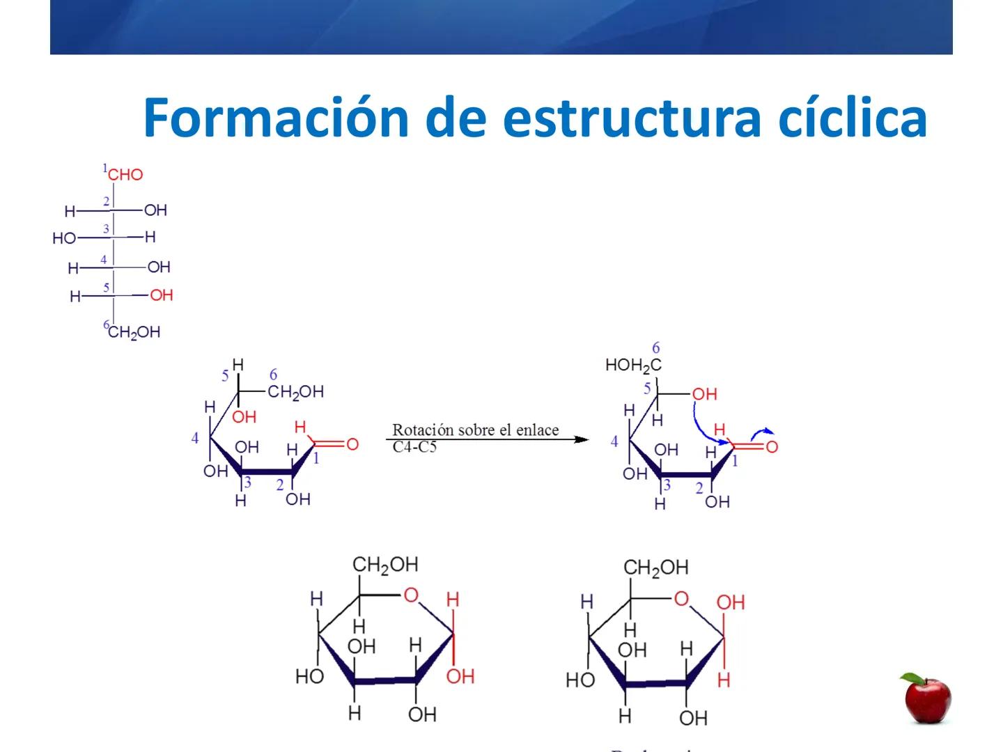 # CARBOHIDRATOS
Clasificación
M.E. Yarlal Gálvez
(Lic.Quím. en Alimentos) •
•
•
Definición
Son compuestos orgánicos llamados polialcoholes