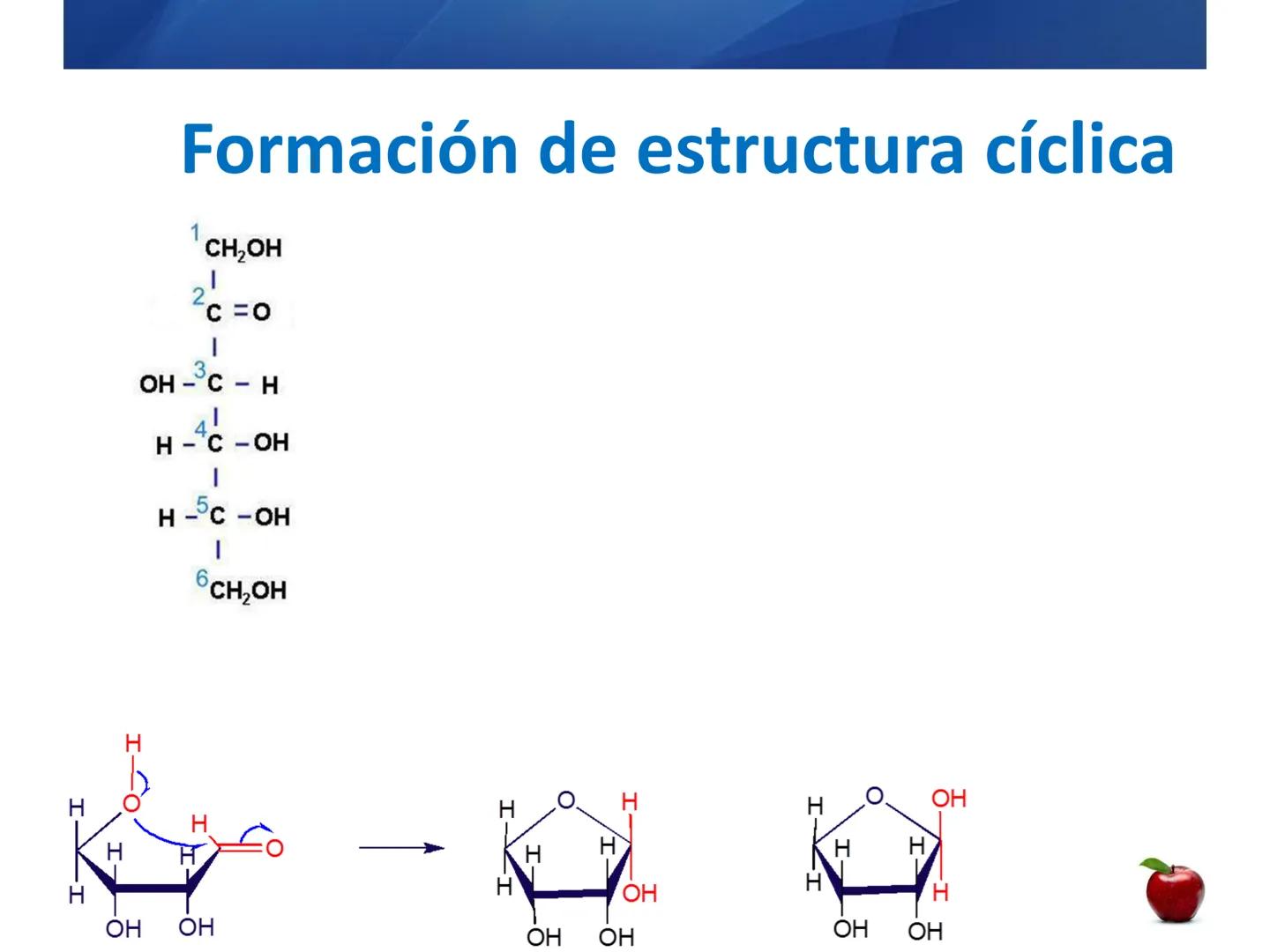 # CARBOHIDRATOS
Clasificación
M.E. Yarlal Gálvez
(Lic.Quím. en Alimentos) •
•
•
Definición
Son compuestos orgánicos llamados polialcoholes