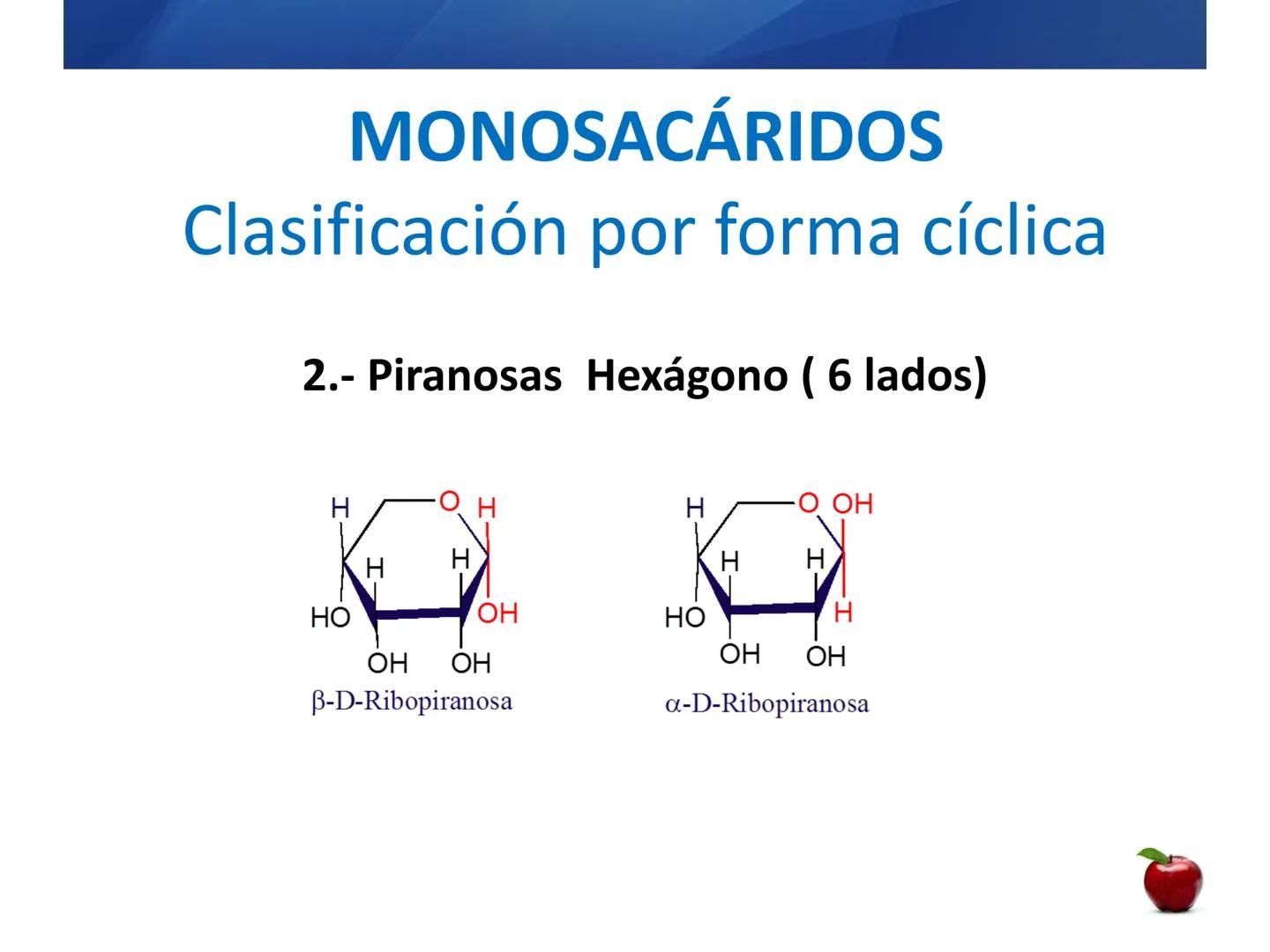 # CARBOHIDRATOS
Clasificación
M.E. Yarlal Gálvez
(Lic.Quím. en Alimentos) •
•
•
Definición
Son compuestos orgánicos llamados polialcoholes
