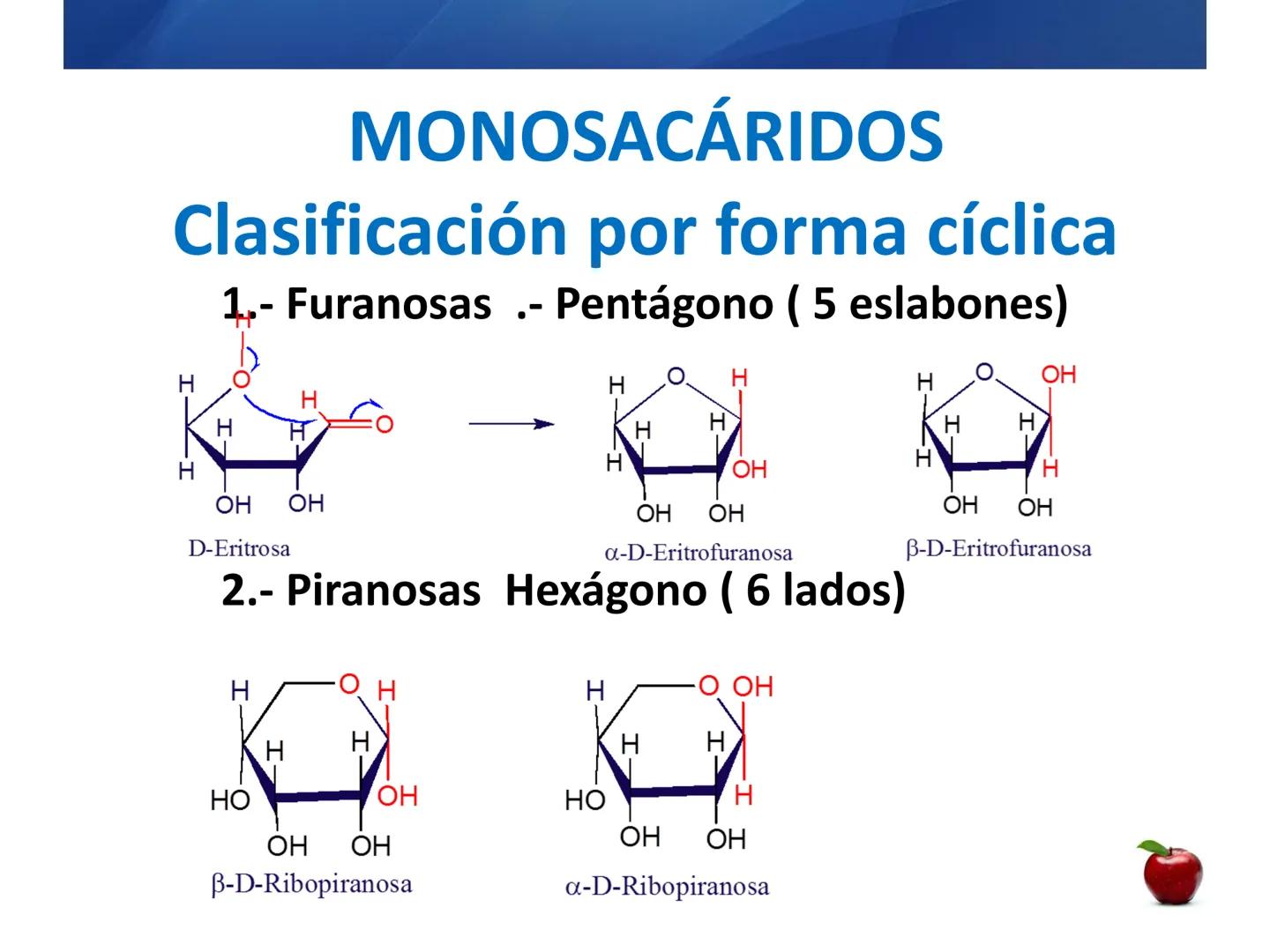 # CARBOHIDRATOS
Clasificación
M.E. Yarlal Gálvez
(Lic.Quím. en Alimentos) •
•
•
Definición
Son compuestos orgánicos llamados polialcoholes