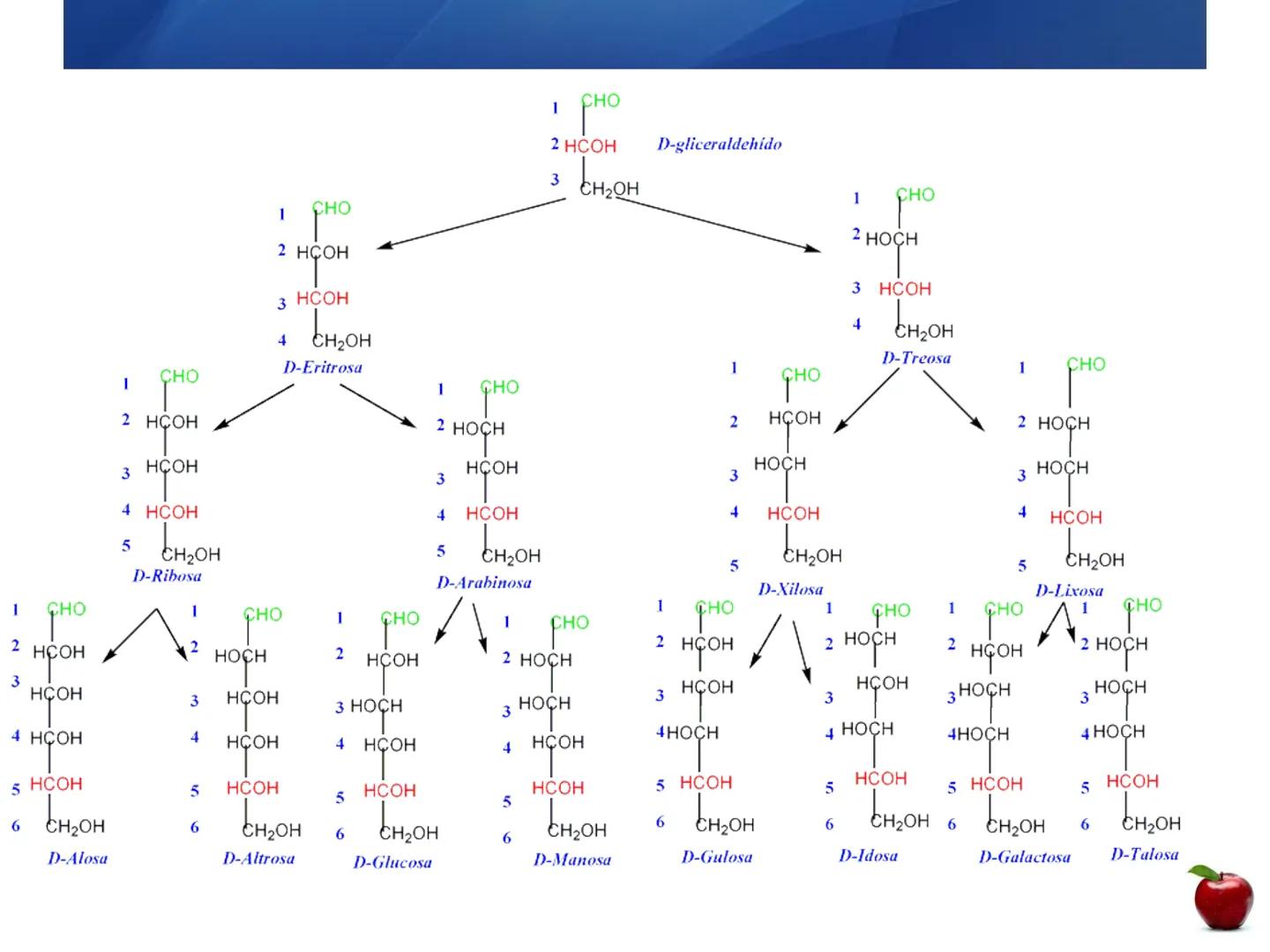 # CARBOHIDRATOS
Clasificación
M.E. Yarlal Gálvez
(Lic.Quím. en Alimentos) •
•
•
Definición
Son compuestos orgánicos llamados polialcoholes