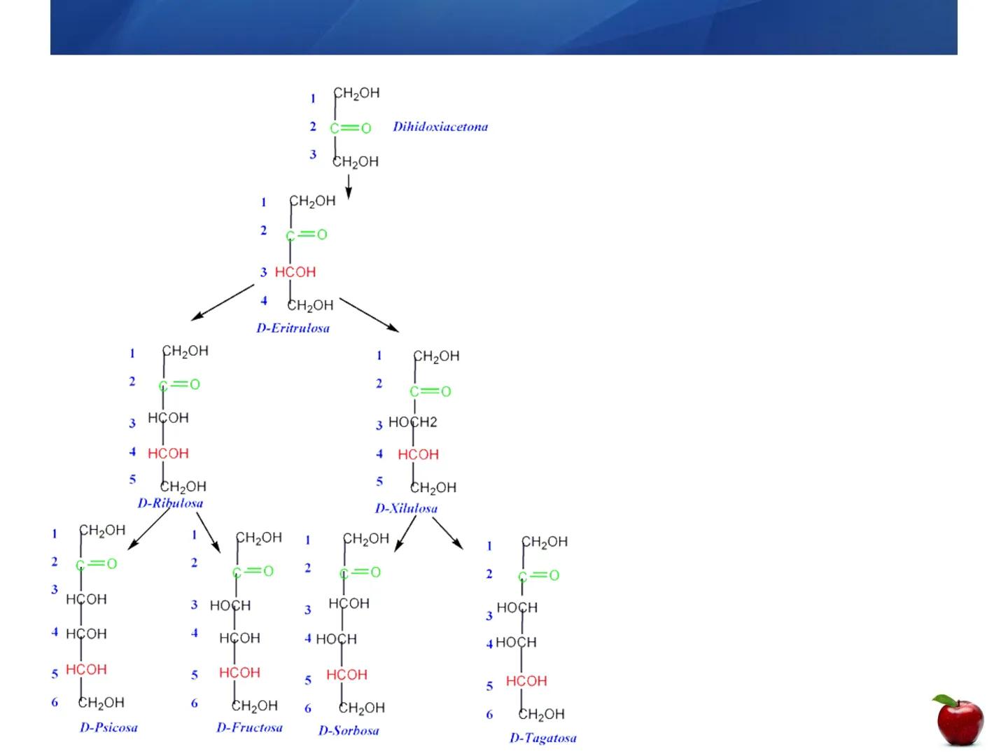 # CARBOHIDRATOS
Clasificación
M.E. Yarlal Gálvez
(Lic.Quím. en Alimentos) •
•
•
Definición
Son compuestos orgánicos llamados polialcoholes
