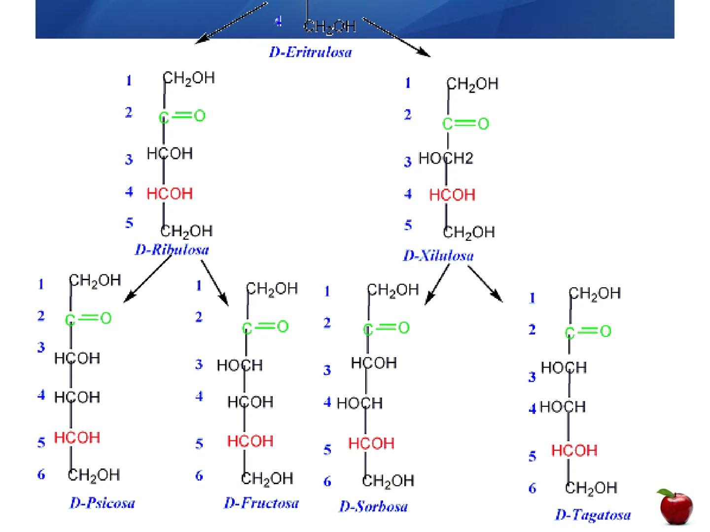 # CARBOHIDRATOS
Clasificación
M.E. Yarlal Gálvez
(Lic.Quím. en Alimentos) •
•
•
Definición
Son compuestos orgánicos llamados polialcoholes