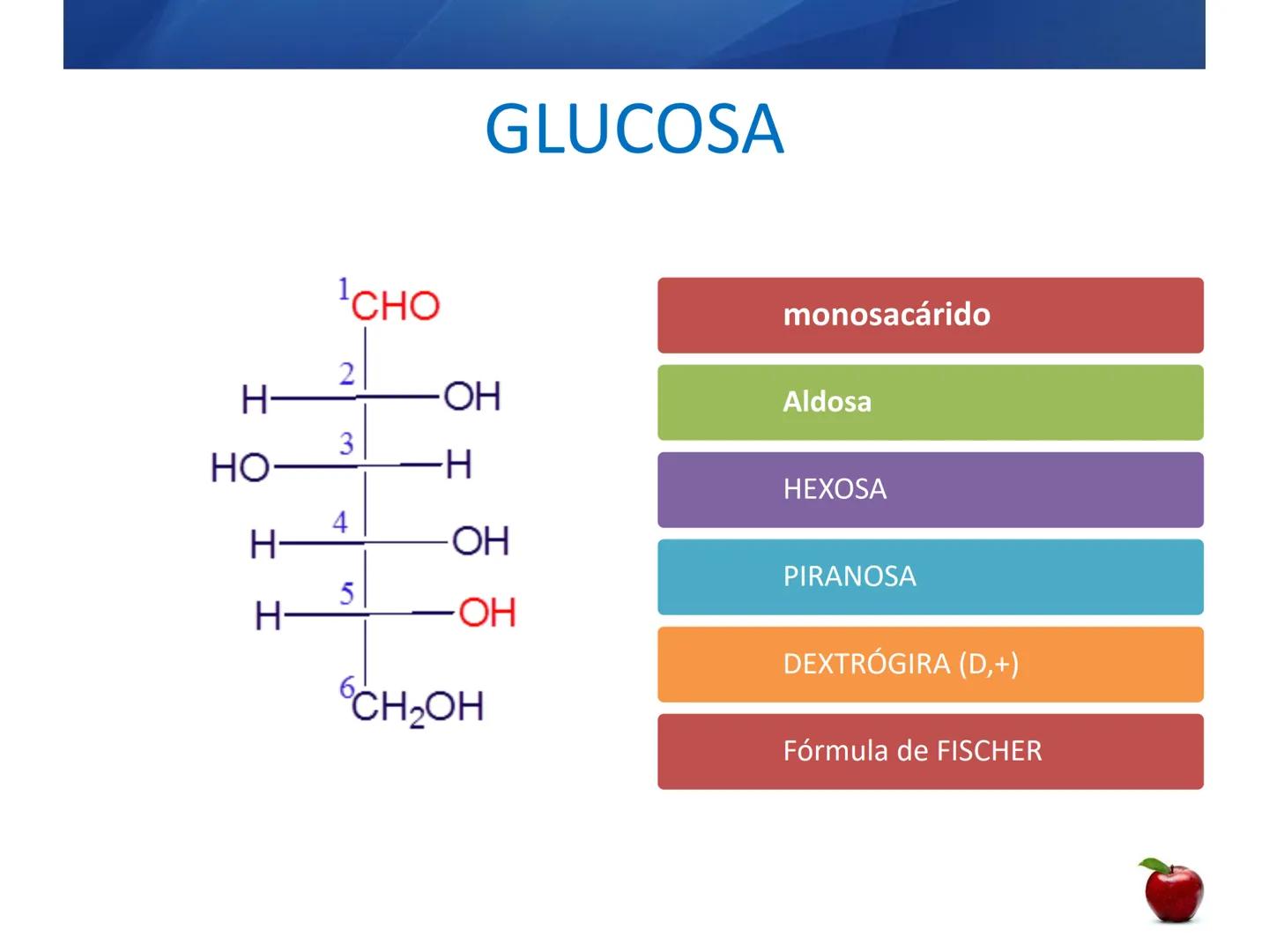 # CARBOHIDRATOS
Clasificación
M.E. Yarlal Gálvez
(Lic.Quím. en Alimentos) •
•
•
Definición
Son compuestos orgánicos llamados polialcoholes