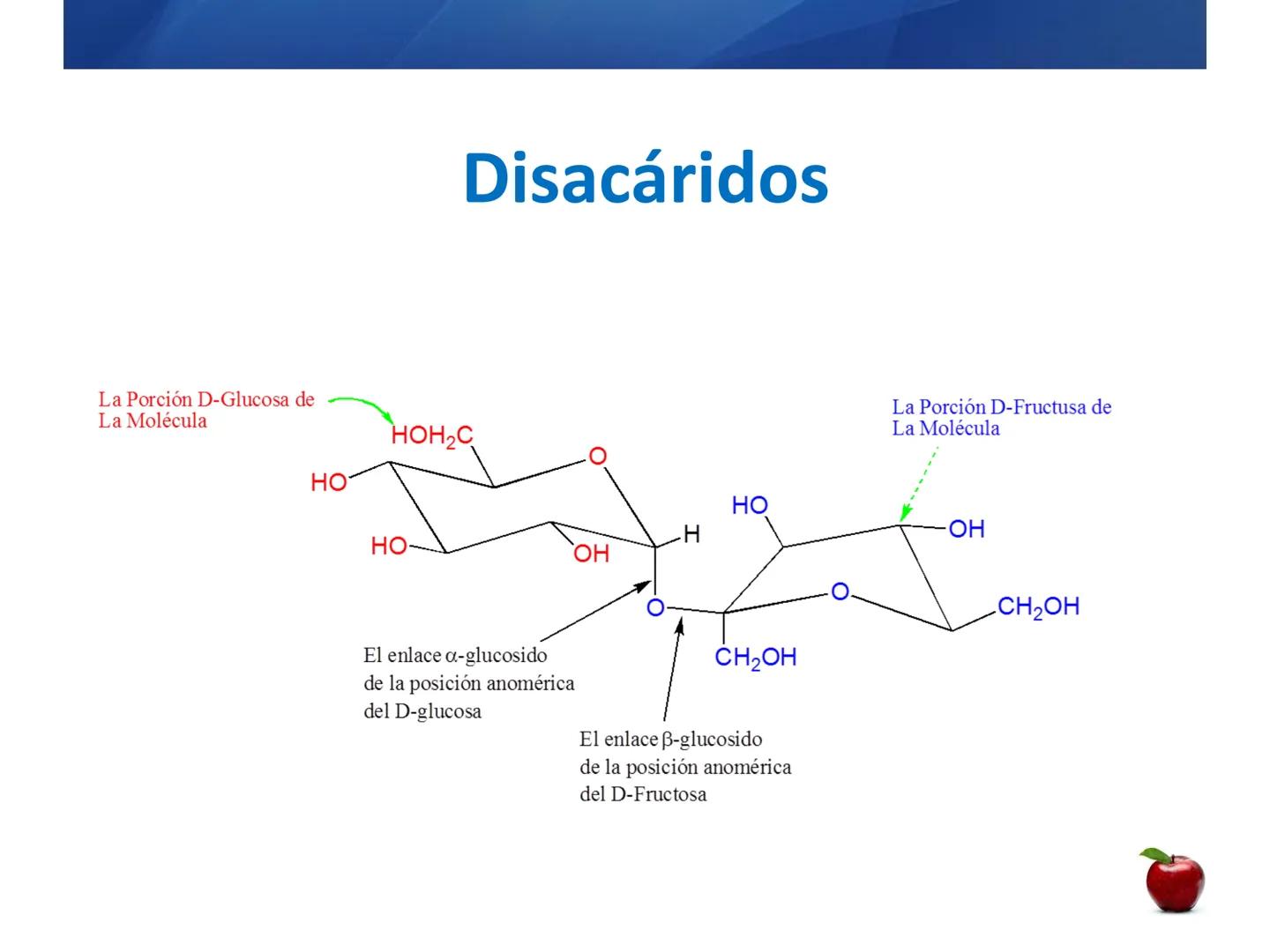 # CARBOHIDRATOS
Clasificación
M.E. Yarlal Gálvez
(Lic.Quím. en Alimentos) •
•
•
Definición
Son compuestos orgánicos llamados polialcoholes