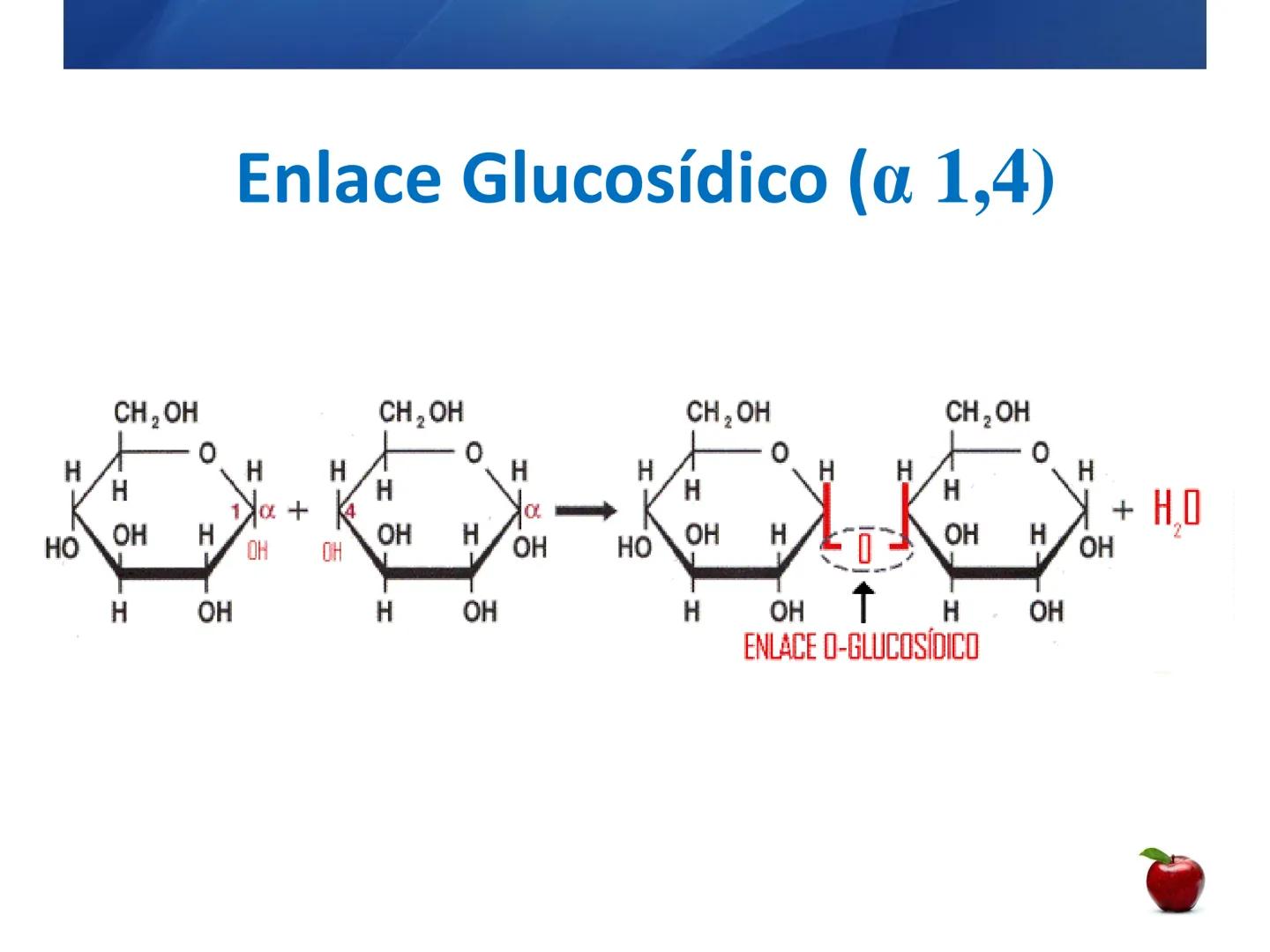 # CARBOHIDRATOS
Clasificación
M.E. Yarlal Gálvez
(Lic.Quím. en Alimentos) •
•
•
Definición
Son compuestos orgánicos llamados polialcoholes