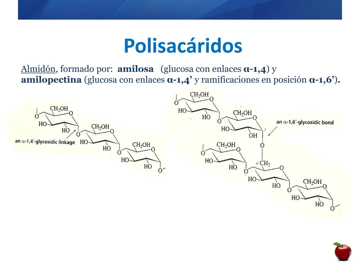 # CARBOHIDRATOS
Clasificación
M.E. Yarlal Gálvez
(Lic.Quím. en Alimentos) •
•
•
Definición
Son compuestos orgánicos llamados polialcoholes