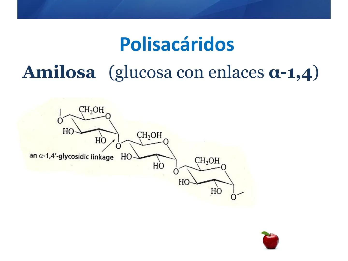 # CARBOHIDRATOS
Clasificación
M.E. Yarlal Gálvez
(Lic.Quím. en Alimentos) •
•
•
Definición
Son compuestos orgánicos llamados polialcoholes