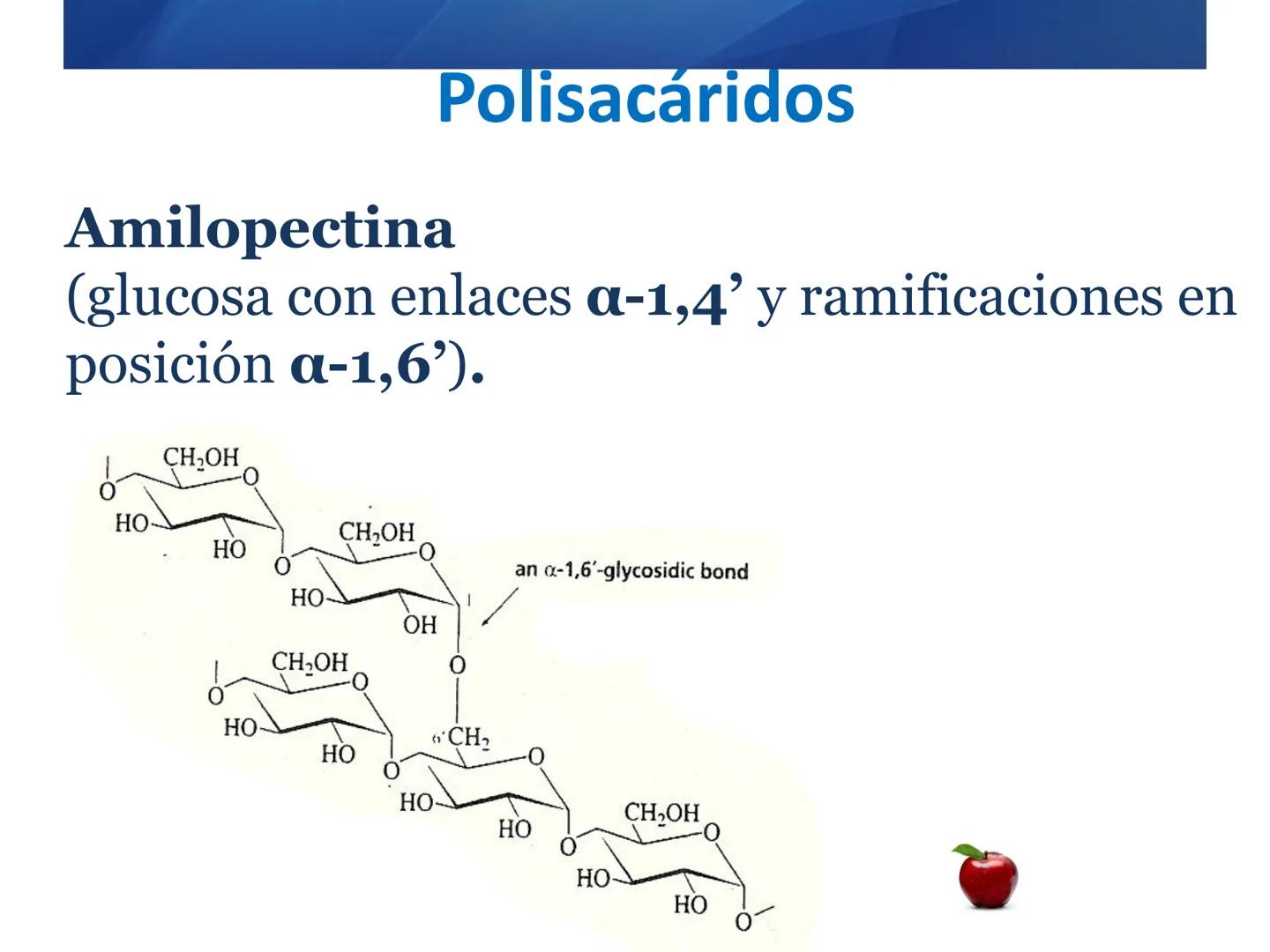 # CARBOHIDRATOS
Clasificación
M.E. Yarlal Gálvez
(Lic.Quím. en Alimentos) •
•
•
Definición
Son compuestos orgánicos llamados polialcoholes