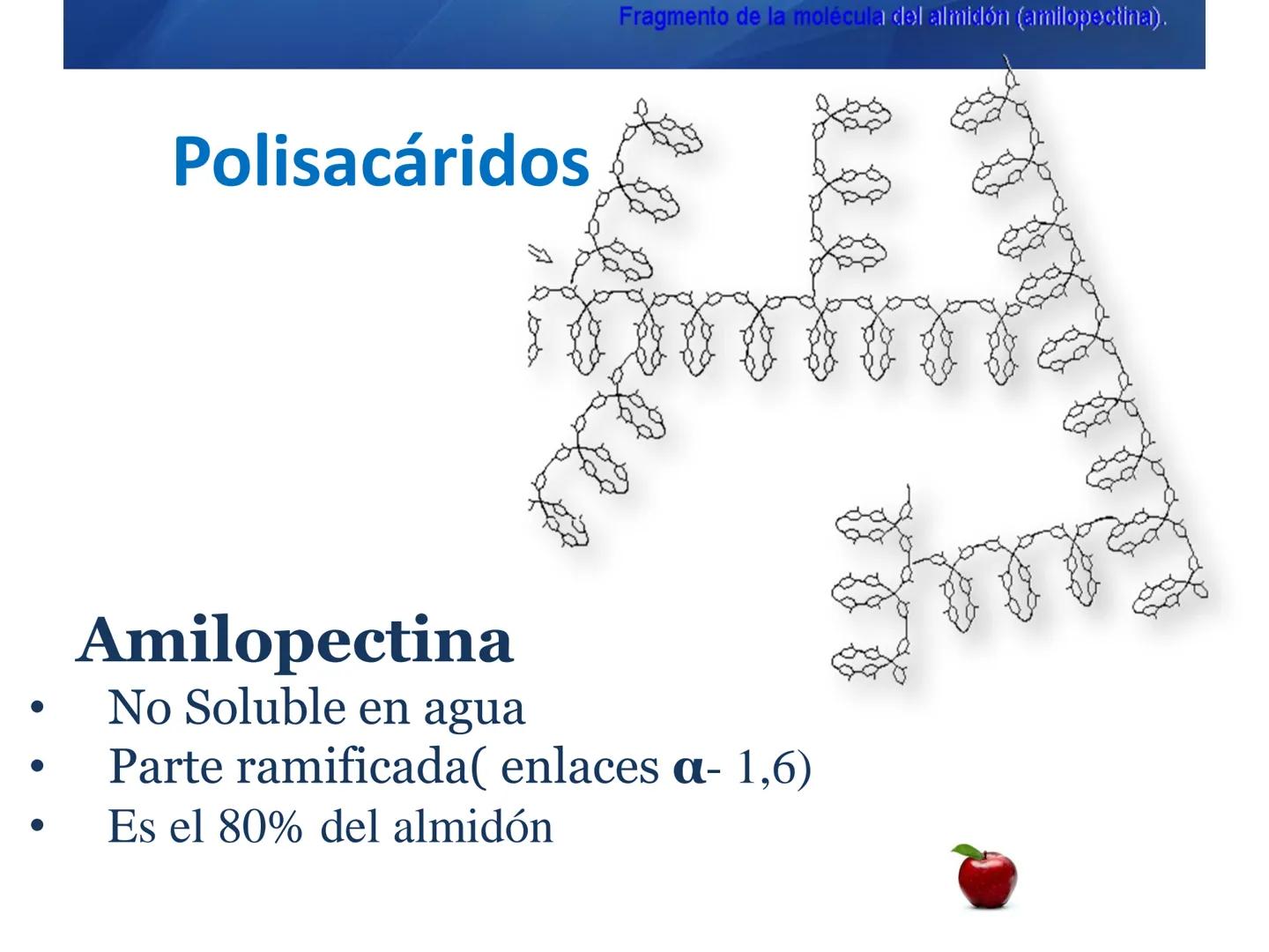 # CARBOHIDRATOS
Clasificación
M.E. Yarlal Gálvez
(Lic.Quím. en Alimentos) •
•
•
Definición
Son compuestos orgánicos llamados polialcoholes