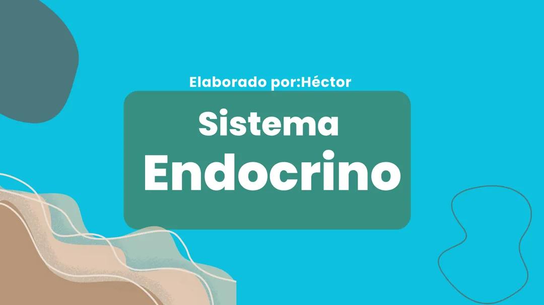 Descripción del Sistema Endocrino y su Función