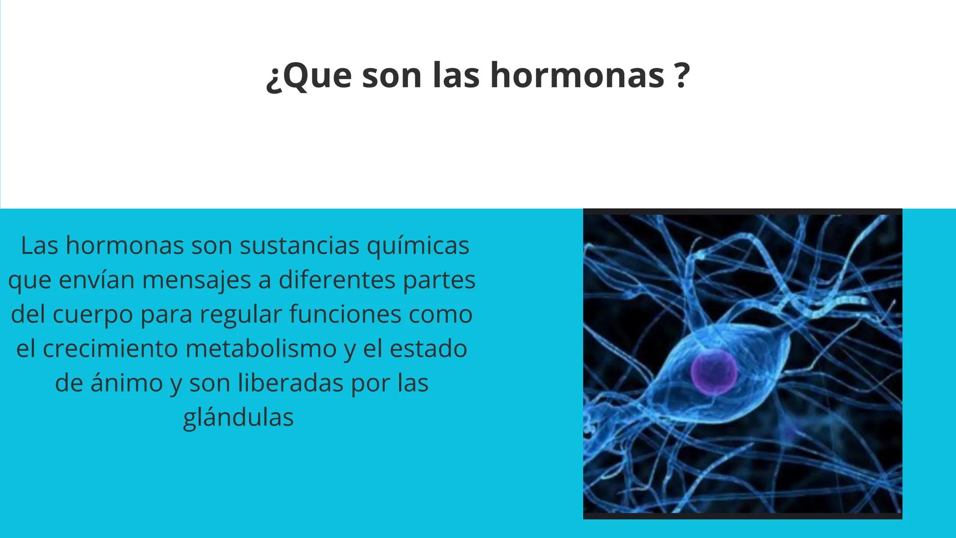 Elaborado por:Héctor
Sistema
Endocrino # Sistema endocrino
Es el conjunto de glándulas que producen hormonas para controlar muchas funcion