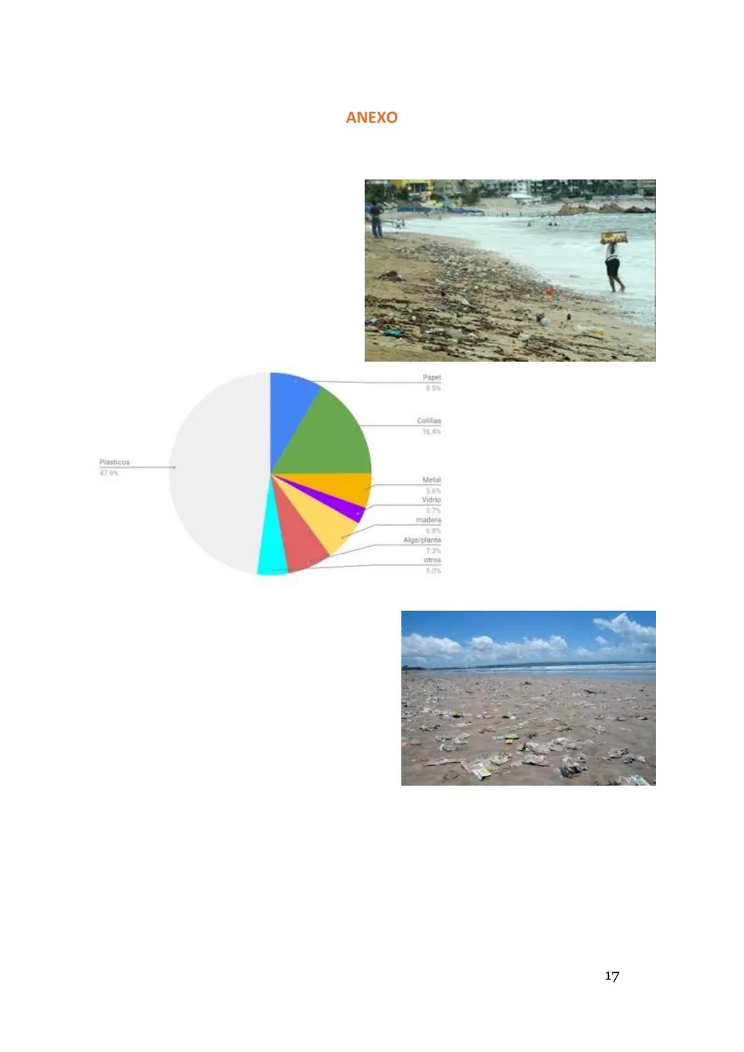 ceimar
INVESTIGACIÓN.CONTAMINACIÓN
Mta. Paola Ernestina Aguilar Rosales
AMBIENTAL
CONTAMINACIÓN DE LAS PLAYAS
INTEGRANTES DEL EQUIPO:
MORALE