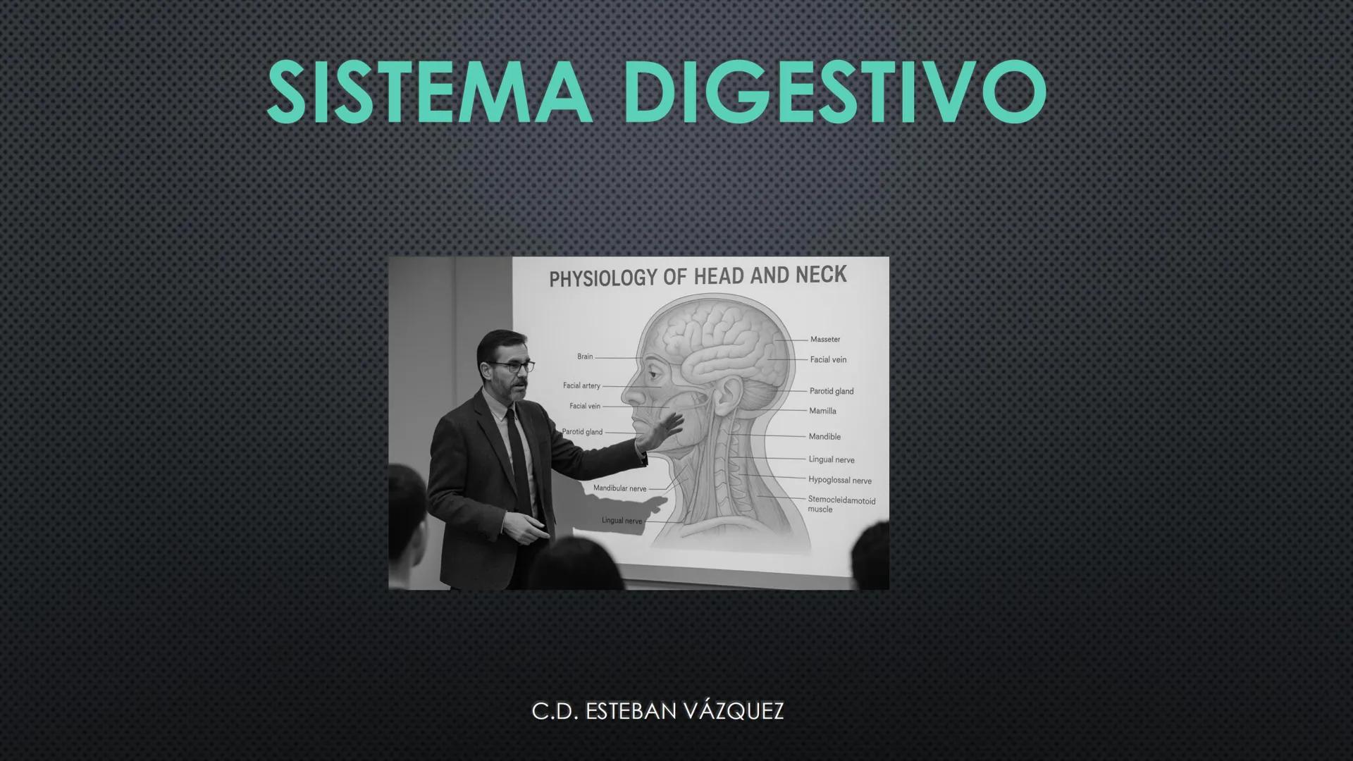 SISTEMA DIGESTIVO
PHYSIOLOGY OF HEAD AND NECK
Brain
Facial artery
Facial vein
Masseter
Facial vein
Parotid gland
Parotid gland
Mandibular ne