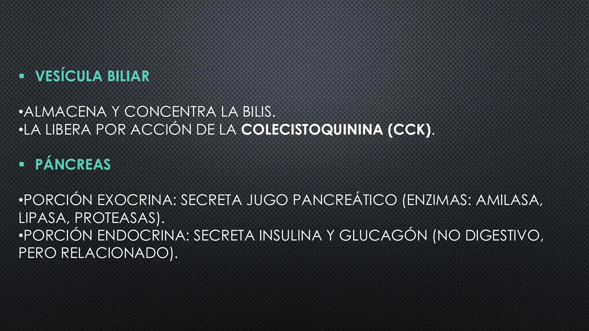 SISTEMA DIGESTIVO
PHYSIOLOGY OF HEAD AND NECK
Brain
Facial artery
Facial vein
Masseter
Facial vein
Parotid gland
Parotid gland
Mandibular ne