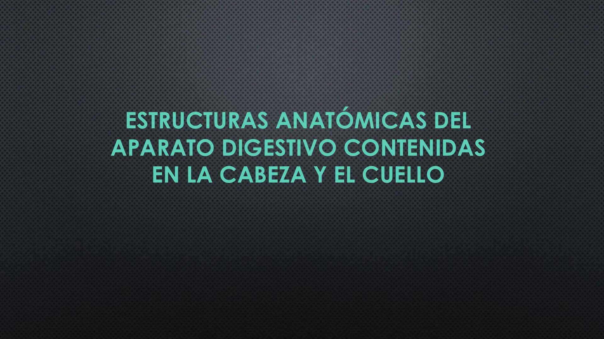 SISTEMA DIGESTIVO
PHYSIOLOGY OF HEAD AND NECK
Brain
Facial artery
Facial vein
Masseter
Facial vein
Parotid gland
Parotid gland
Mandibular ne