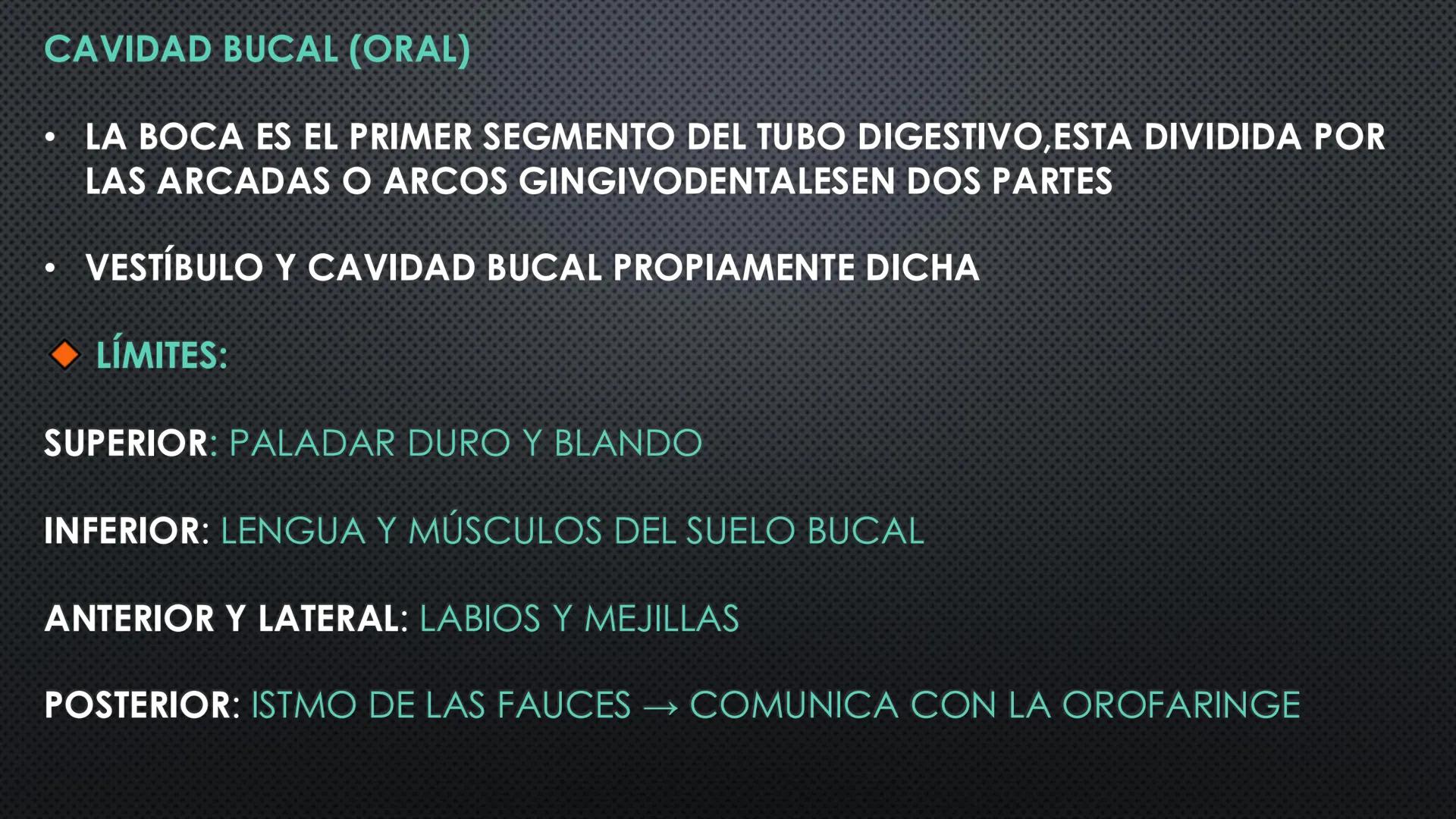 SISTEMA DIGESTIVO
PHYSIOLOGY OF HEAD AND NECK
Brain
Facial artery
Facial vein
Masseter
Facial vein
Parotid gland
Parotid gland
Mandibular ne