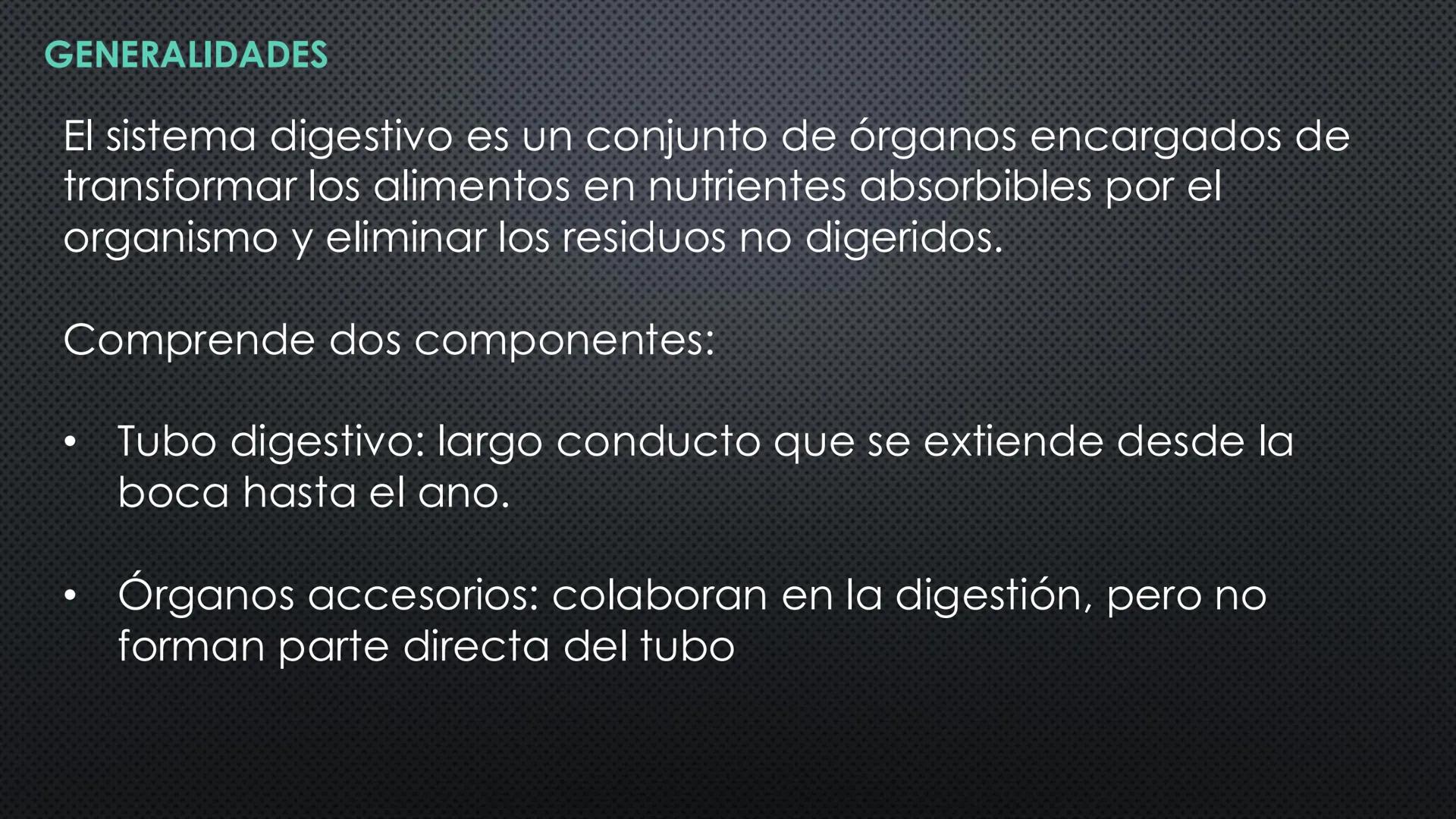 SISTEMA DIGESTIVO
PHYSIOLOGY OF HEAD AND NECK
Brain
Facial artery
Facial vein
Masseter
Facial vein
Parotid gland
Parotid gland
Mandibular ne