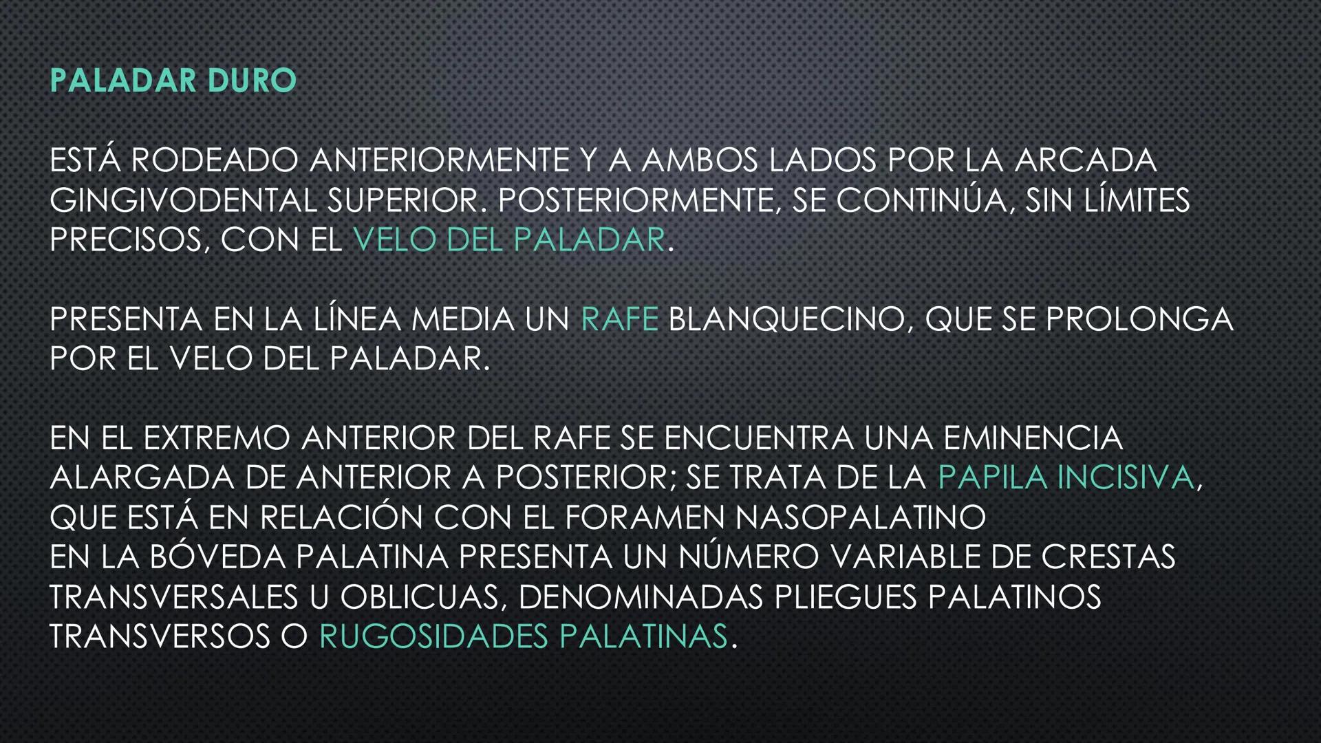 SISTEMA DIGESTIVO
PHYSIOLOGY OF HEAD AND NECK
Brain
Facial artery
Facial vein
Masseter
Facial vein
Parotid gland
Parotid gland
Mandibular ne