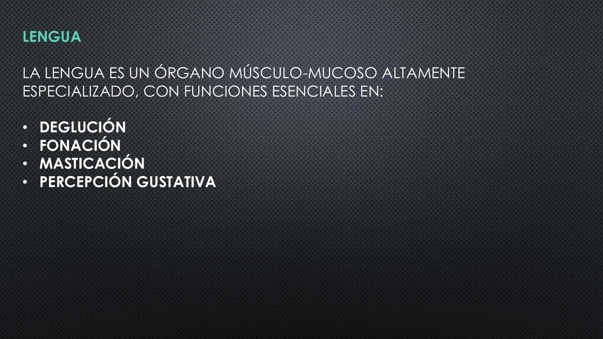 SISTEMA DIGESTIVO
PHYSIOLOGY OF HEAD AND NECK
Brain
Facial artery
Facial vein
Masseter
Facial vein
Parotid gland
Parotid gland
Mandibular ne
