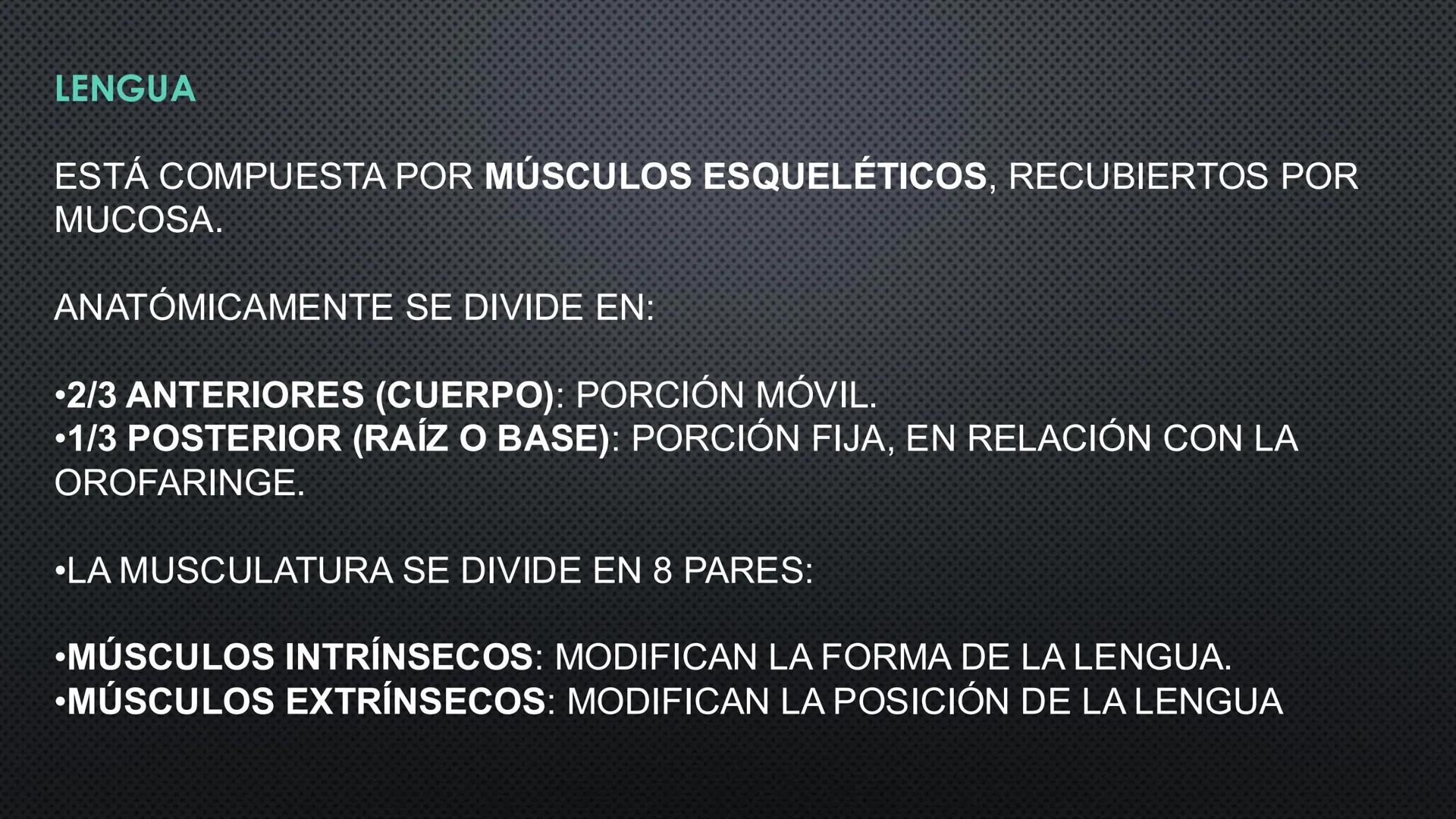 SISTEMA DIGESTIVO
PHYSIOLOGY OF HEAD AND NECK
Brain
Facial artery
Facial vein
Masseter
Facial vein
Parotid gland
Parotid gland
Mandibular ne