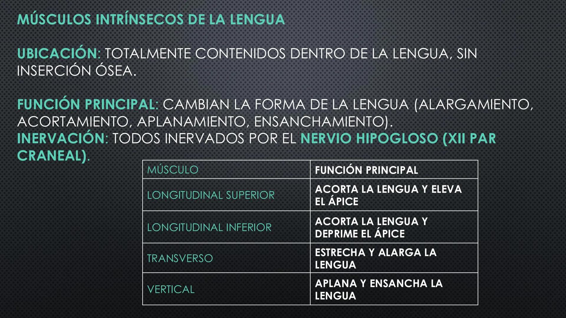 SISTEMA DIGESTIVO
PHYSIOLOGY OF HEAD AND NECK
Brain
Facial artery
Facial vein
Masseter
Facial vein
Parotid gland
Parotid gland
Mandibular ne