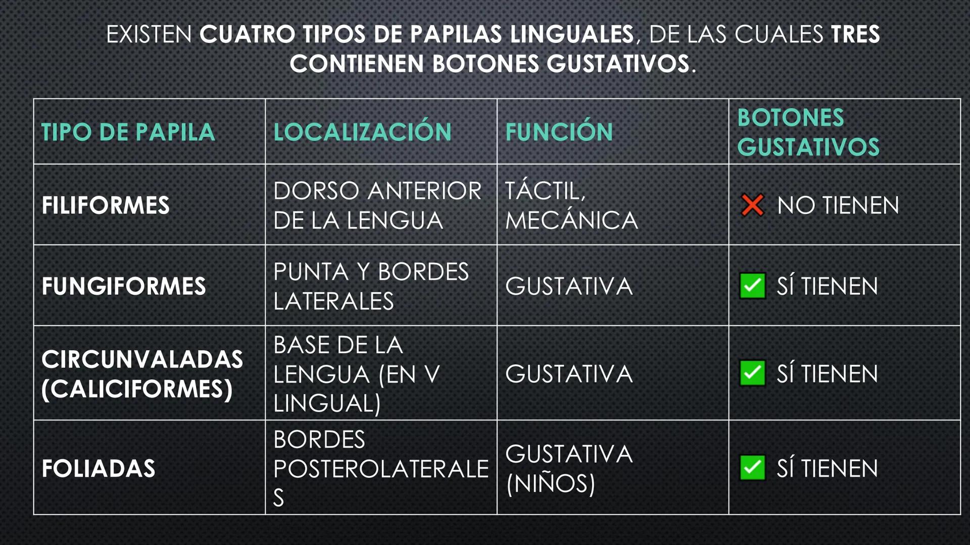 SISTEMA DIGESTIVO
PHYSIOLOGY OF HEAD AND NECK
Brain
Facial artery
Facial vein
Masseter
Facial vein
Parotid gland
Parotid gland
Mandibular ne