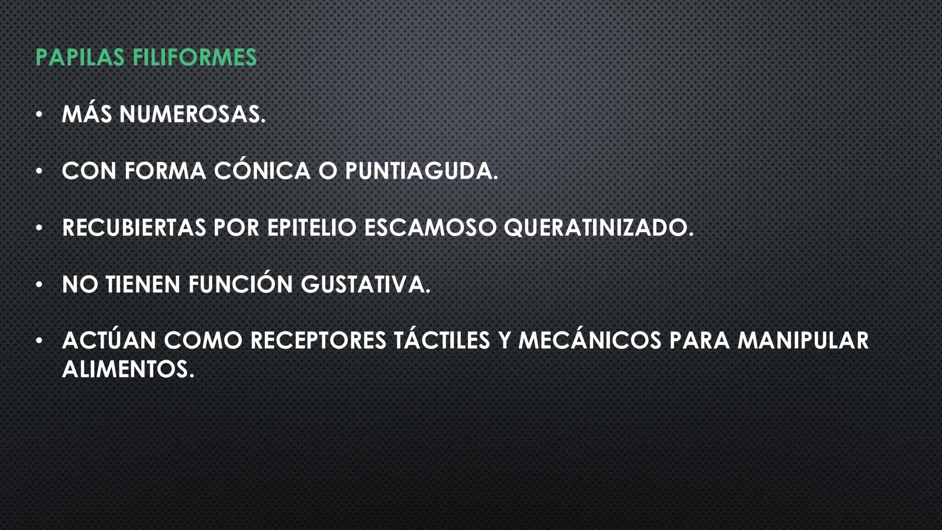 SISTEMA DIGESTIVO
PHYSIOLOGY OF HEAD AND NECK
Brain
Facial artery
Facial vein
Masseter
Facial vein
Parotid gland
Parotid gland
Mandibular ne