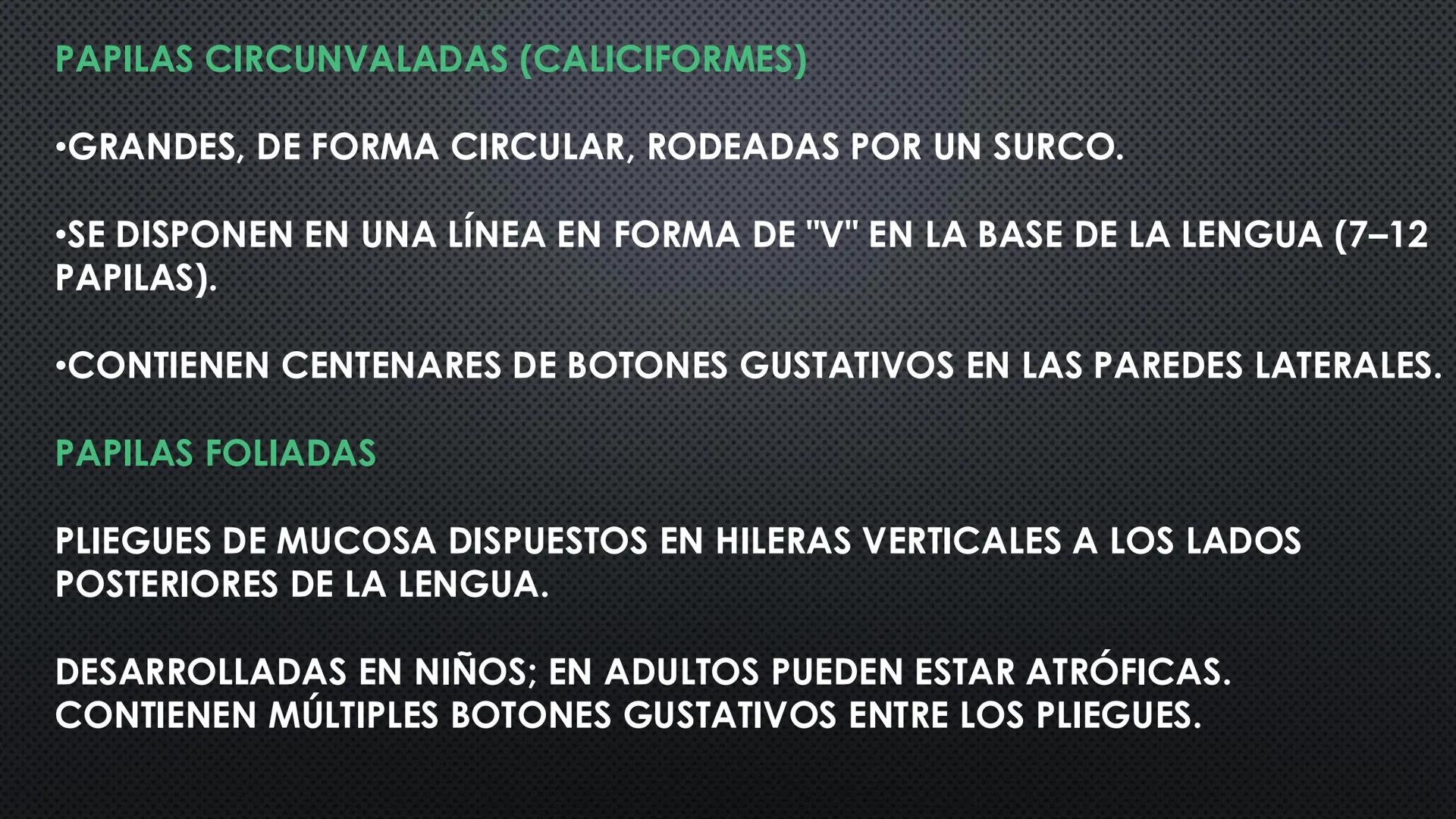 SISTEMA DIGESTIVO
PHYSIOLOGY OF HEAD AND NECK
Brain
Facial artery
Facial vein
Masseter
Facial vein
Parotid gland
Parotid gland
Mandibular ne