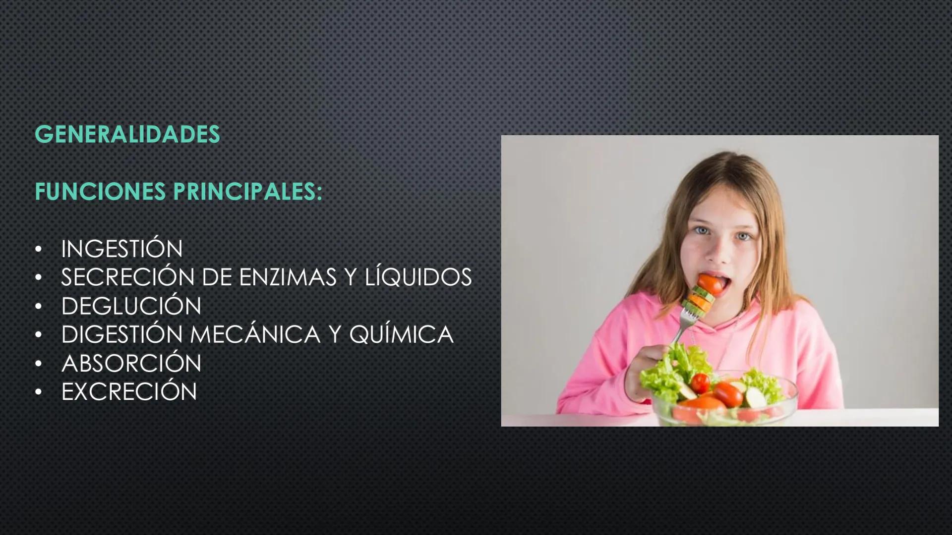 SISTEMA DIGESTIVO
PHYSIOLOGY OF HEAD AND NECK
Brain
Facial artery
Facial vein
Masseter
Facial vein
Parotid gland
Parotid gland
Mandibular ne