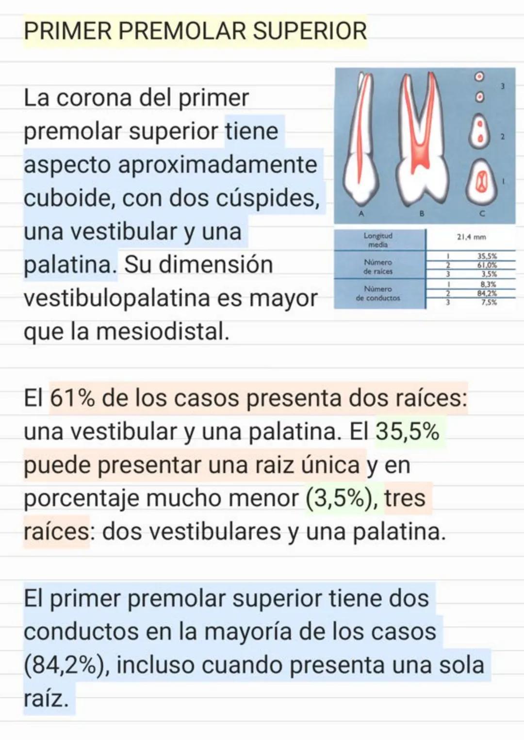 Tema.1 Endodoncia
¿Qué es la Endodoncia?
Es el estudio de la
estructura, la morfología, la
fisiología y la patología de la
pulpa dental y de