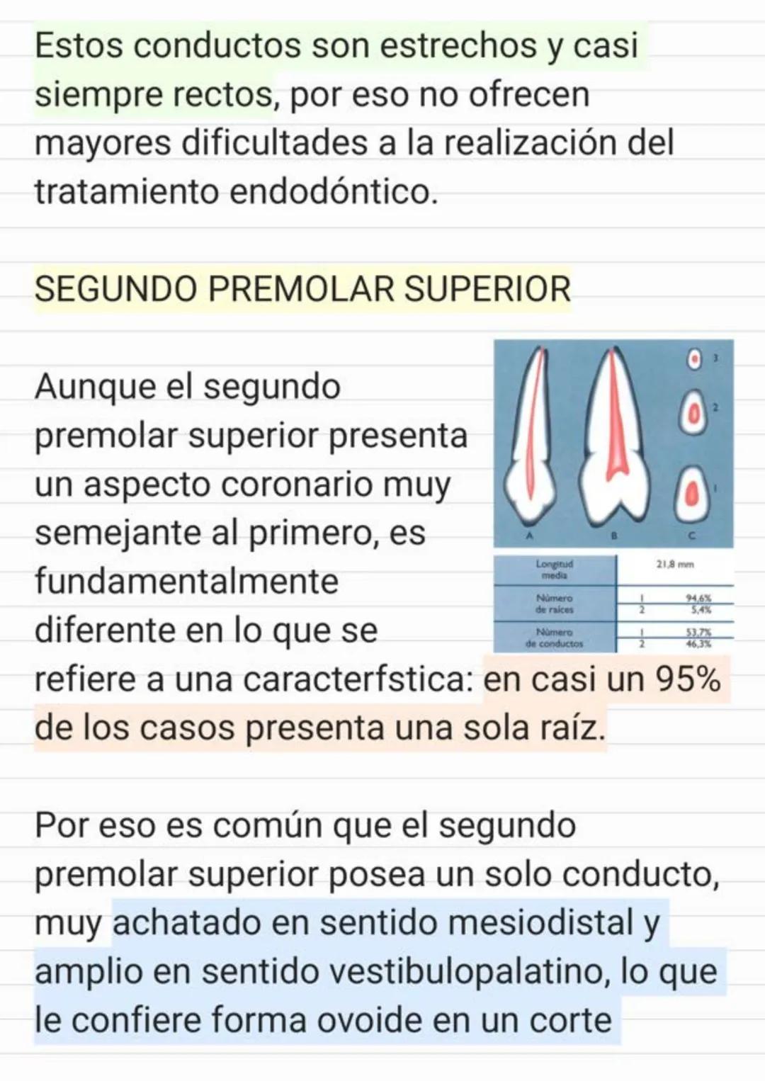 Tema.1 Endodoncia
¿Qué es la Endodoncia?
Es el estudio de la
estructura, la morfología, la
fisiología y la patología de la
pulpa dental y de