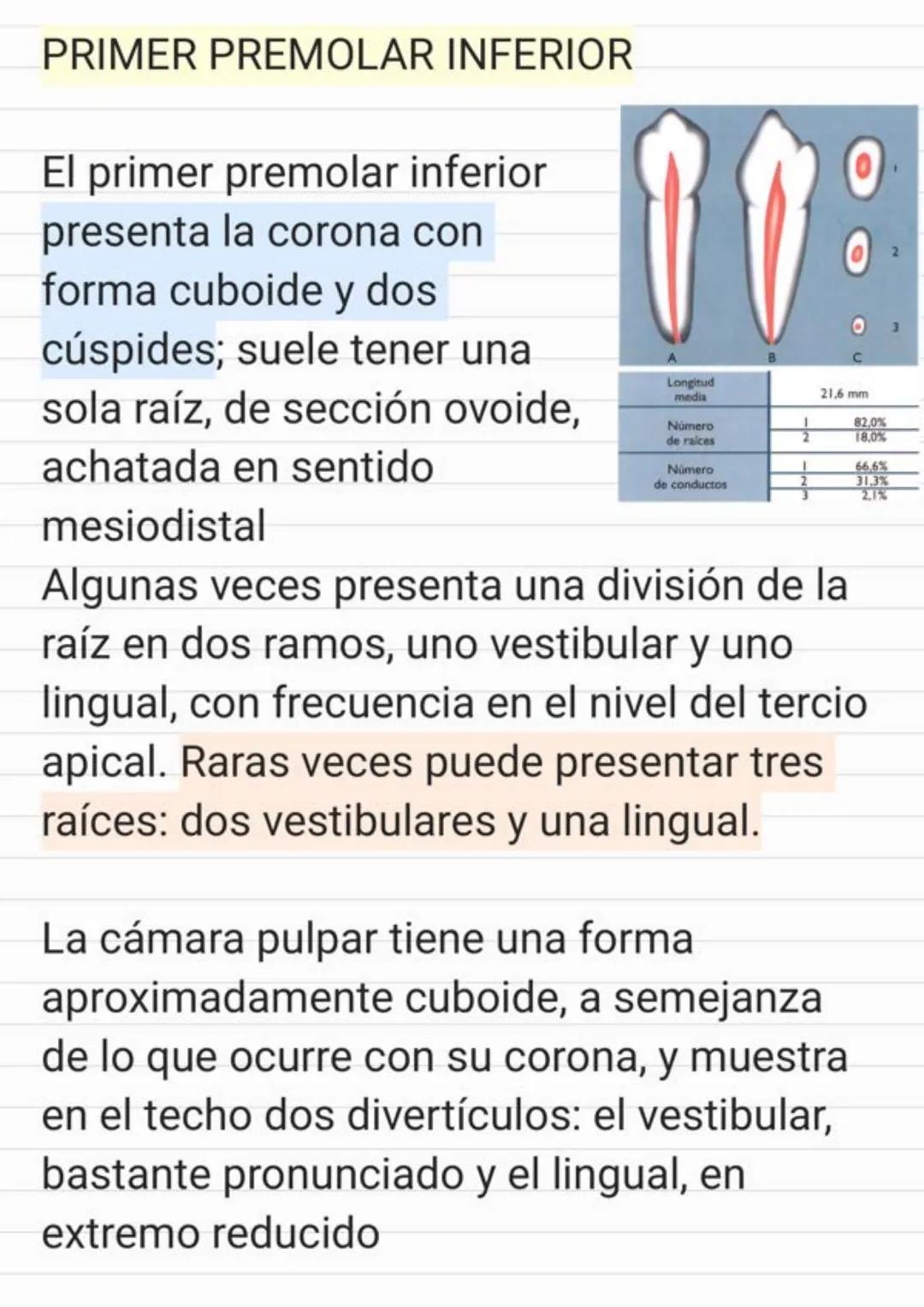 Tema.1 Endodoncia
¿Qué es la Endodoncia?
Es el estudio de la
estructura, la morfología, la
fisiología y la patología de la
pulpa dental y de
