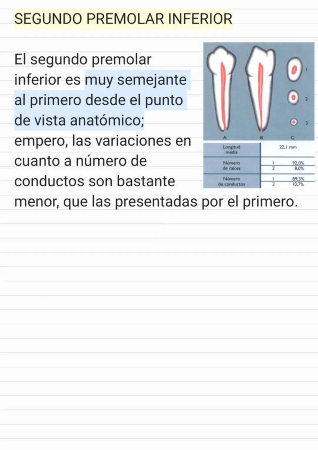 Tema.1 Endodoncia
¿Qué es la Endodoncia?
Es el estudio de la
estructura, la morfología, la
fisiología y la patología de la
pulpa dental y de