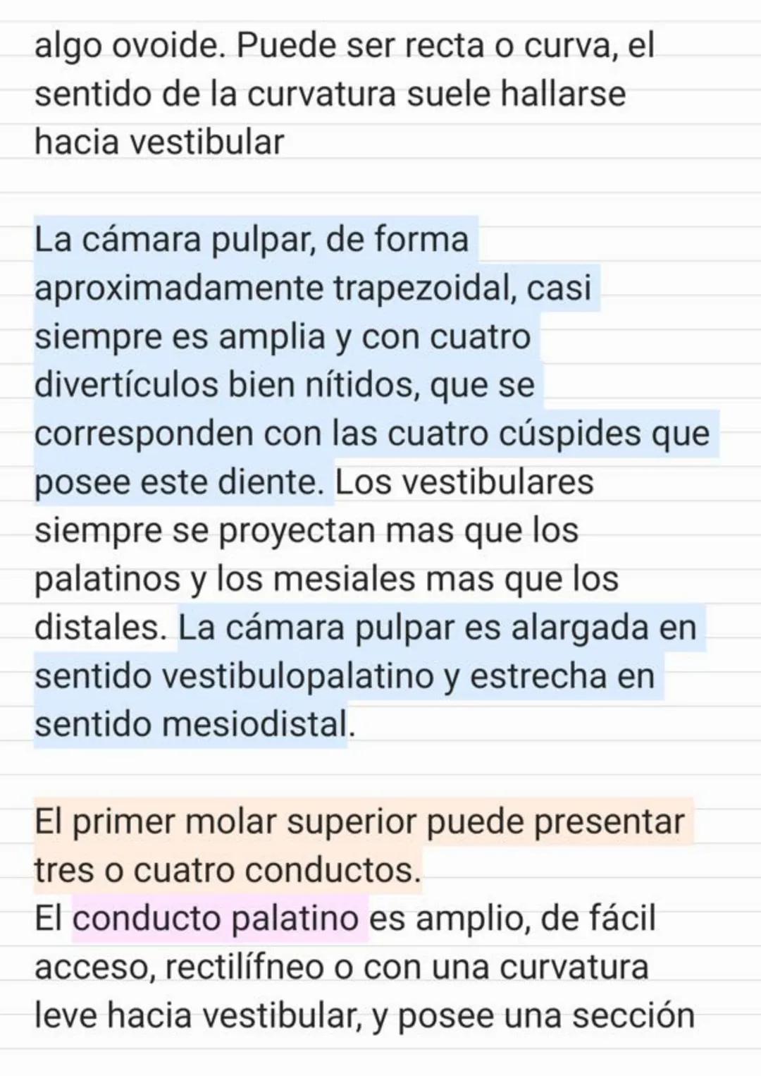 Tema.1 Endodoncia
¿Qué es la Endodoncia?
Es el estudio de la
estructura, la morfología, la
fisiología y la patología de la
pulpa dental y de