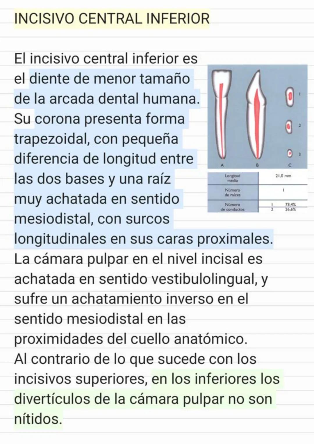 Tema.1 Endodoncia
¿Qué es la Endodoncia?
Es el estudio de la
estructura, la morfología, la
fisiología y la patología de la
pulpa dental y de