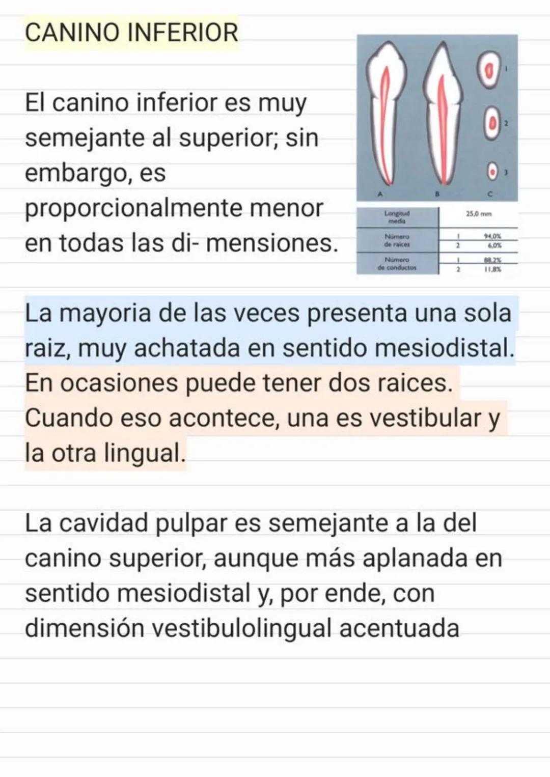 Tema.1 Endodoncia
¿Qué es la Endodoncia?
Es el estudio de la
estructura, la morfología, la
fisiología y la patología de la
pulpa dental y de